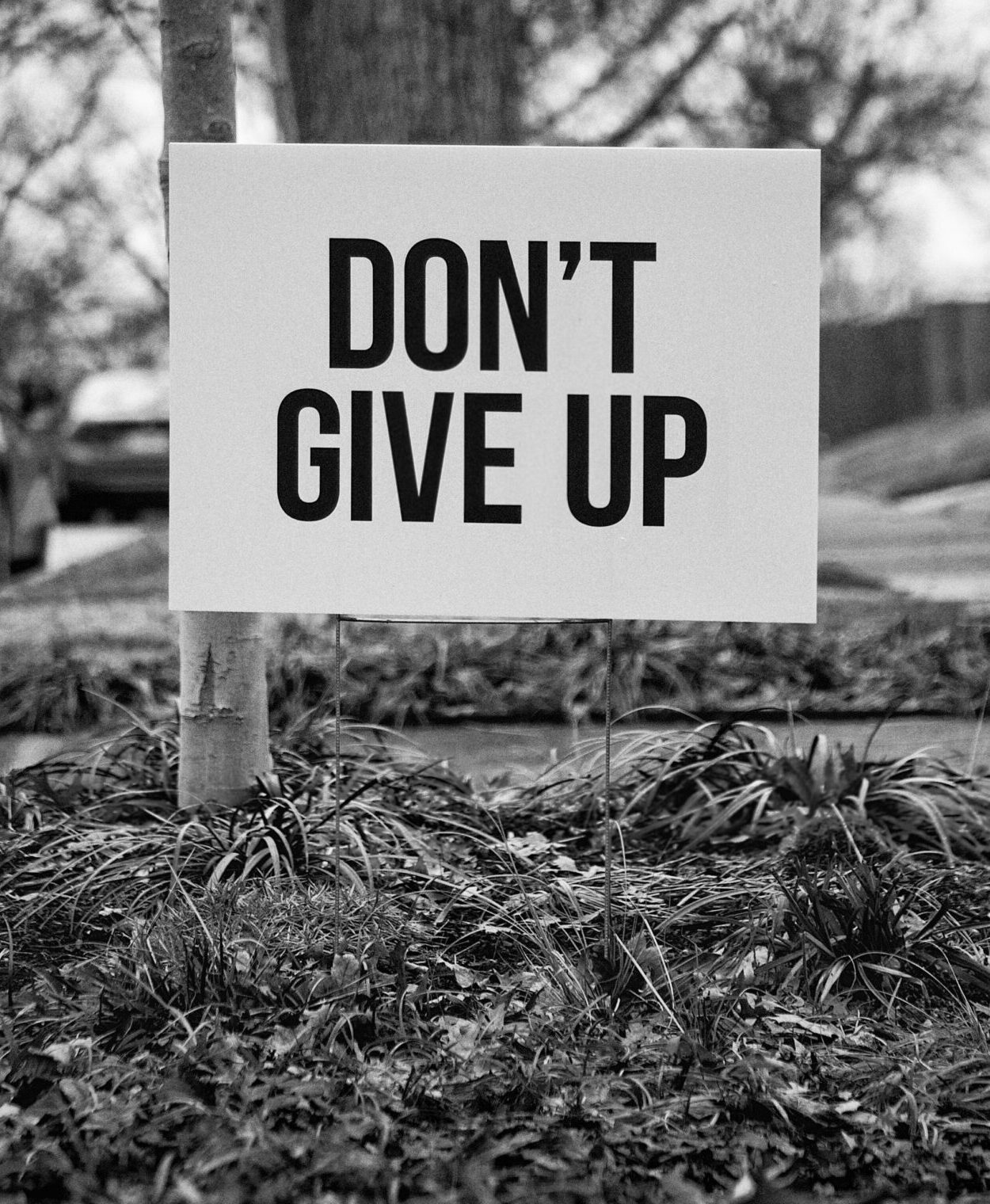 rosie-kerr-Gz0PxBYPfs8-unsplash